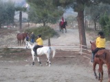 esercitazioni a cavallo