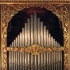 Rassegna internazionale di musica per organo "Riviera delle Palme" - XXII Edizione