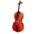 Il mio violoncello: che grande passione!
