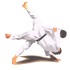 Saggio di judo