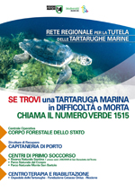 Rete regionale per la tutela delle tartarughe marine - aprile 2011