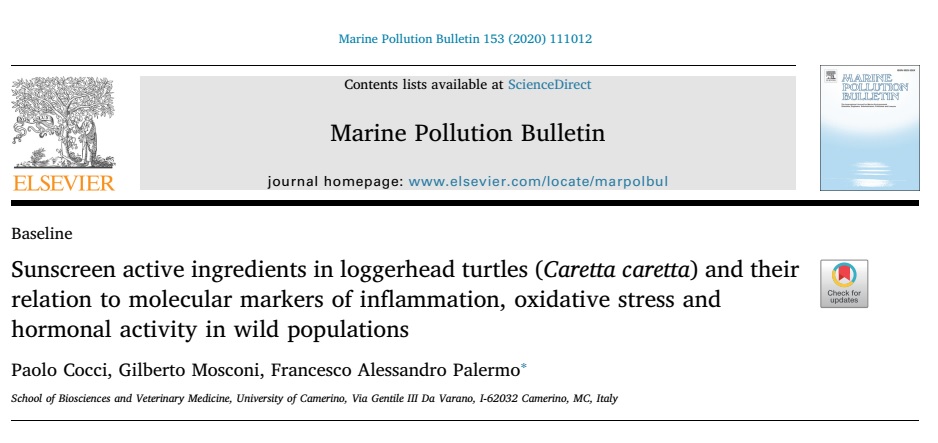 Pesca sostenibile e inquinamento marino, San Benedetto al centro di due studi