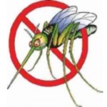 stop alle zanzare