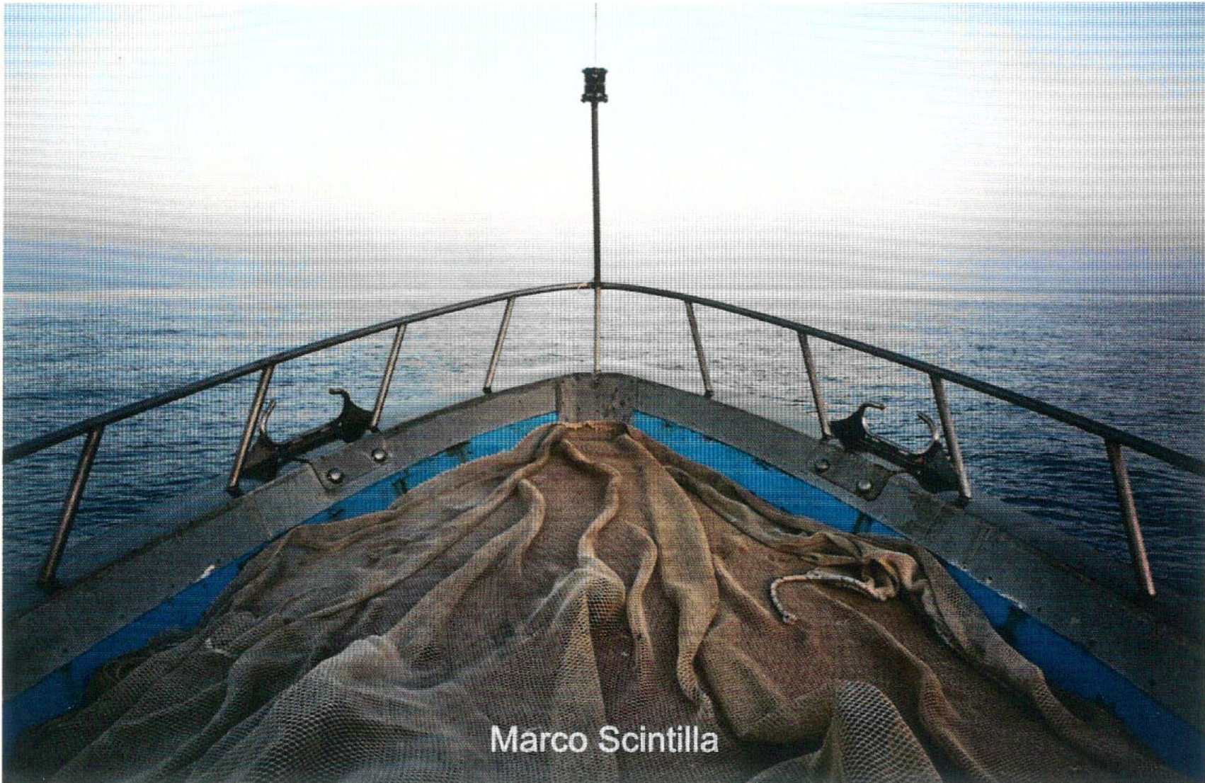Foto di Marco Scintilla