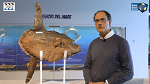 I Tesori del Mare - Secondo Appuntamento