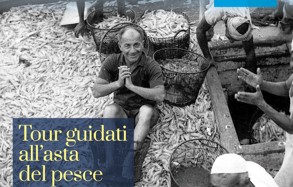 TOUR ALL'ASTA DEL PESCE