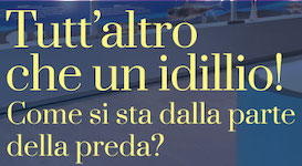 Tutt'altro che un idillio