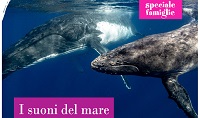 I SUONI DEL MARE