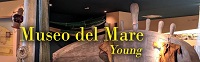 MUSEO DEL MARE YOUNG 2023