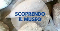 SCOPRENDO IL MUSEO