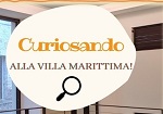 Curiosando..