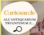 Curiosando..