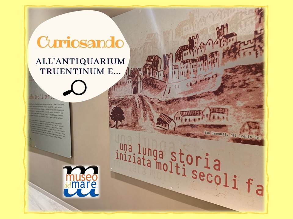 Curiosando all'Antiquarium Truentinum e...