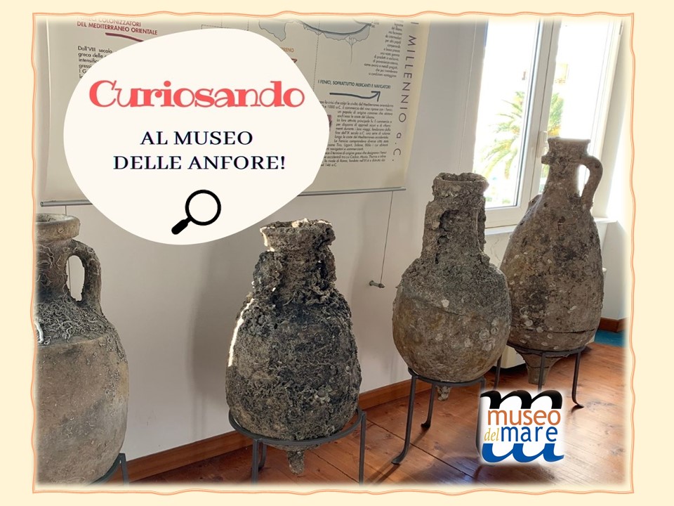 Curiosando alle Anfore