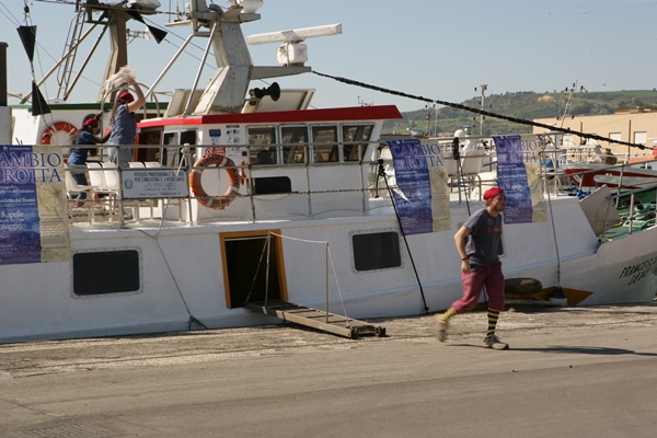 Immagine_14.jpg