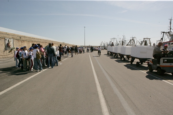 Immagine_9.jpg