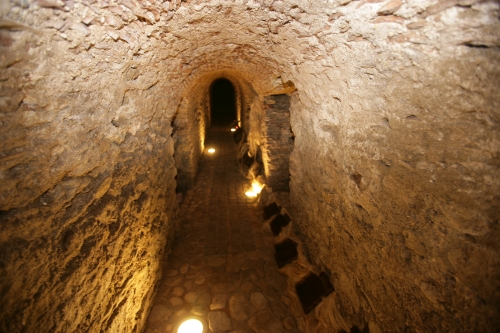 sala_3_pettini_11.jpg