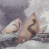 Tempesta sull'Adriatico